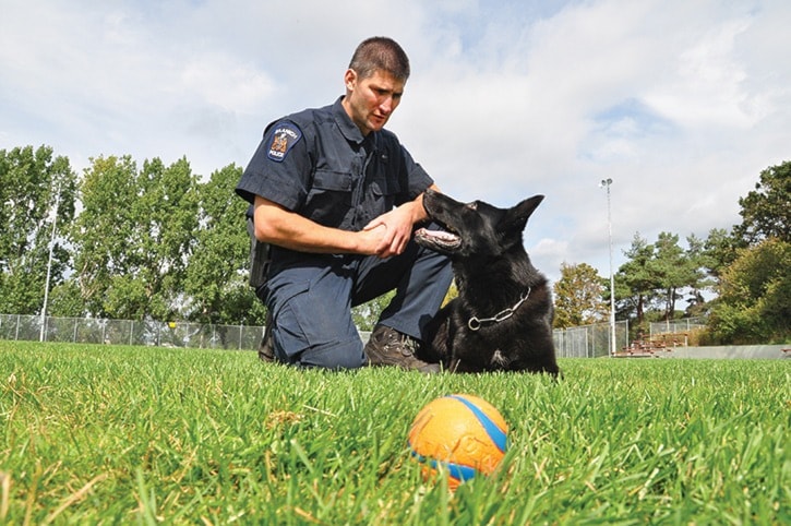 8729vicnewsSN-policedogchampsPSept2013