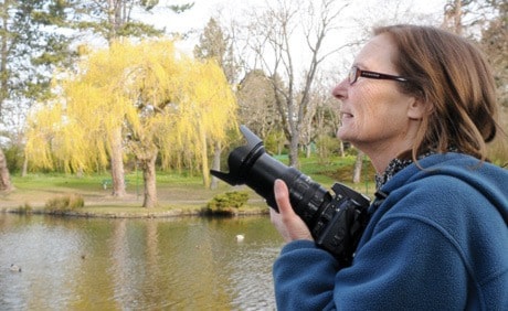 Heron watcher