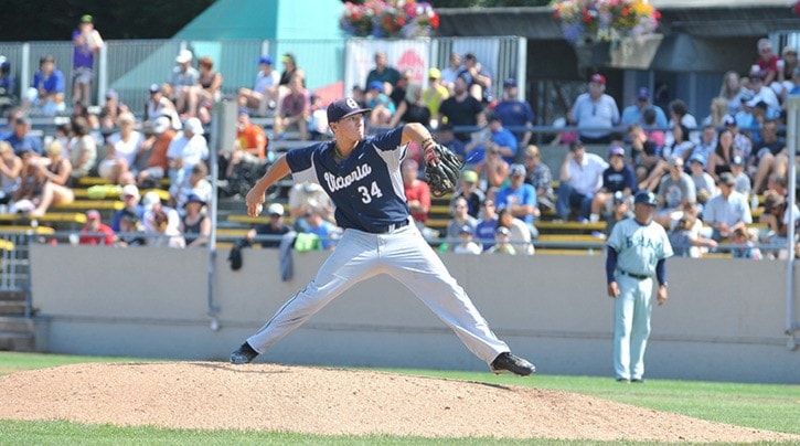 Harbourcats