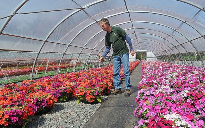 Flower Baskets Readied 1