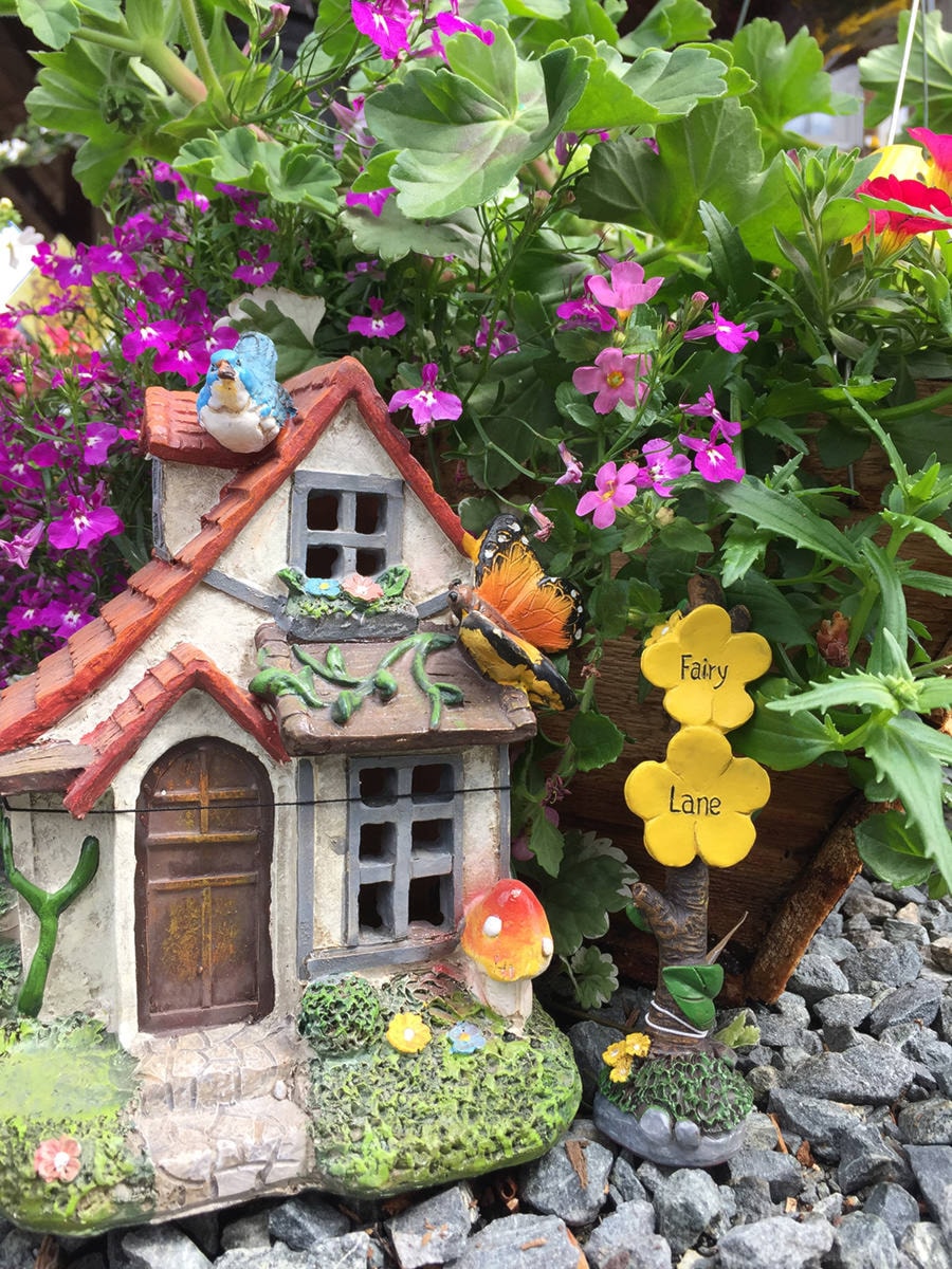 web1_CCI-fairy-garden2