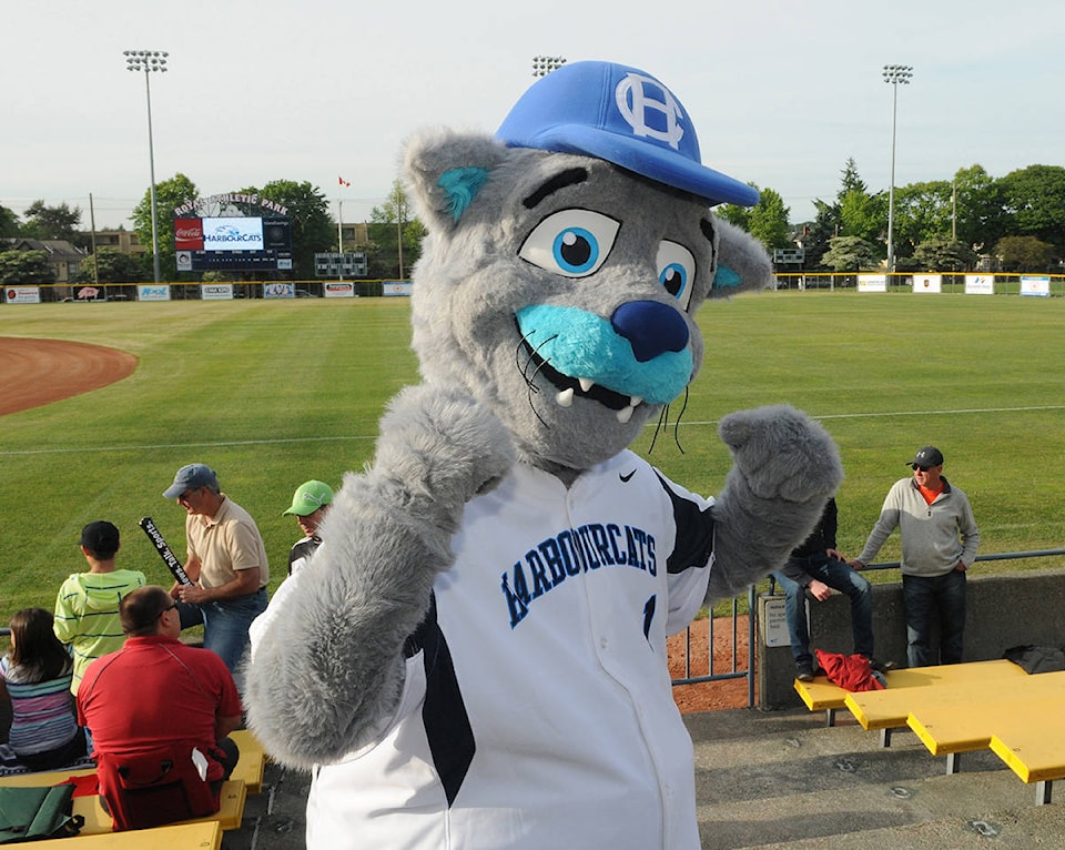 web1_170428-VNE-VolunteerHarbourcats_1