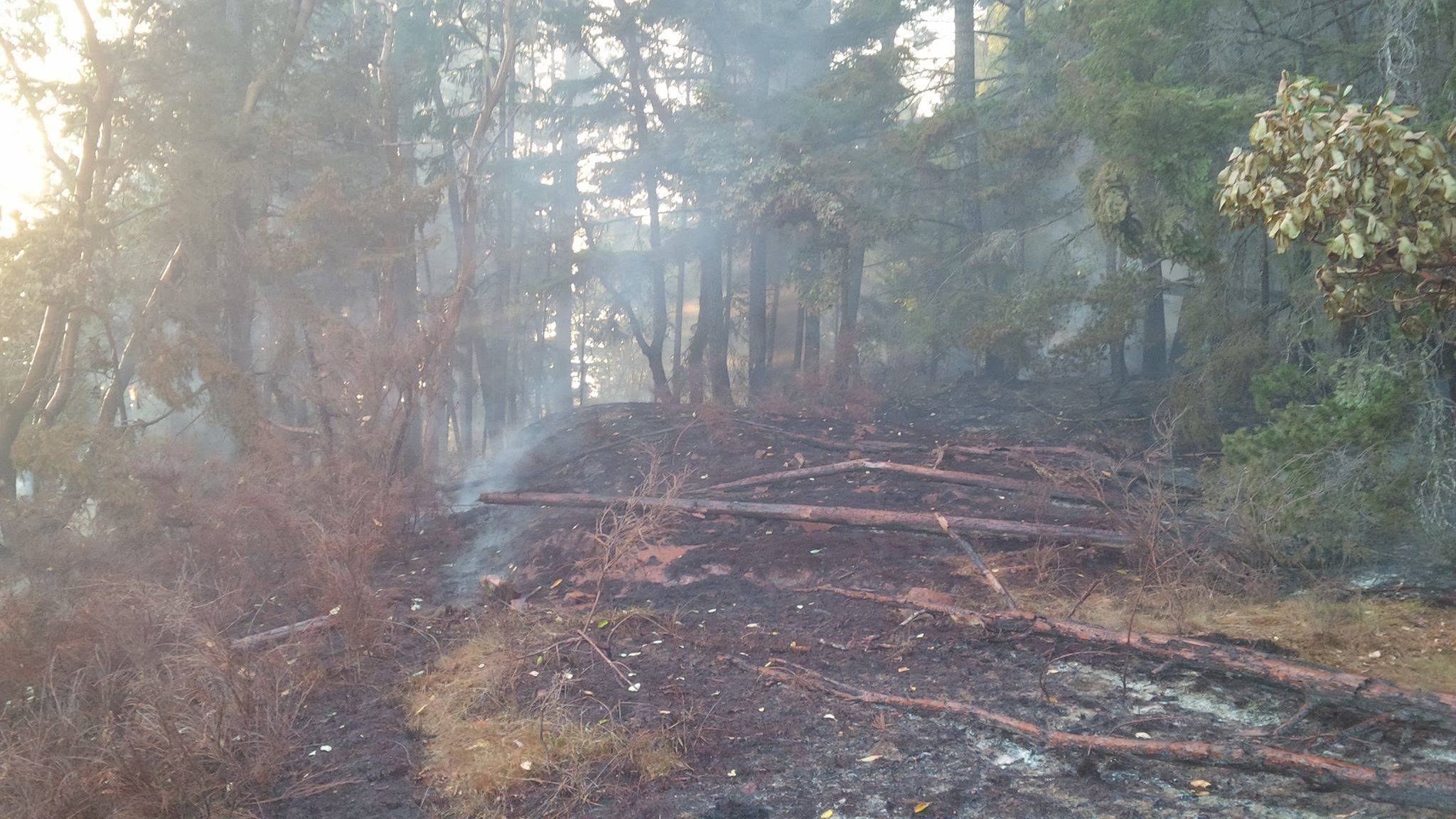 web1_Sooke-fire-4