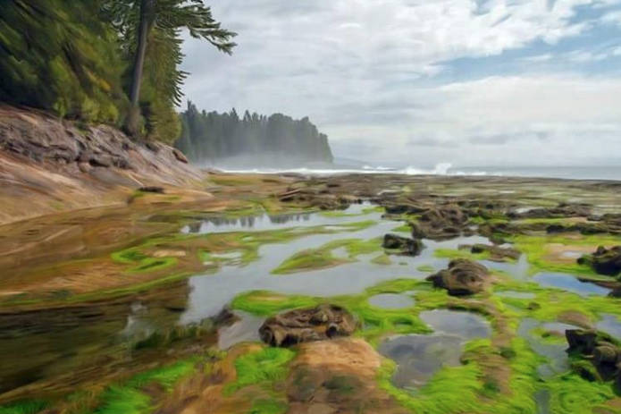Saanich artist needs to brush up on copyright law