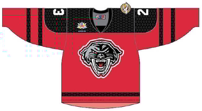 9805765_web1_171215-PNR-panthersthirdjersey