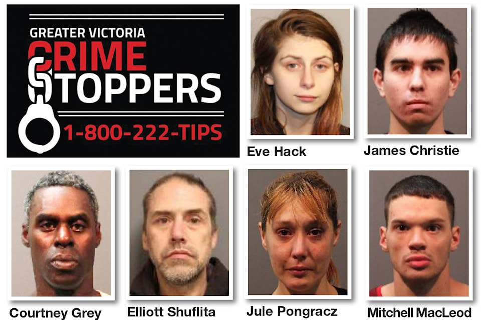 10110076_web1_180112-sne-crimestoppers_1