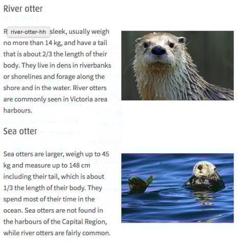 10352022_web1_OTTERS