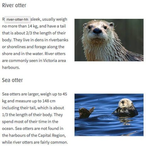 10352022_web1_OTTERS