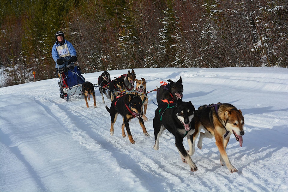 10392592_web1_copy_180131-QCO-sled-dog-story_2