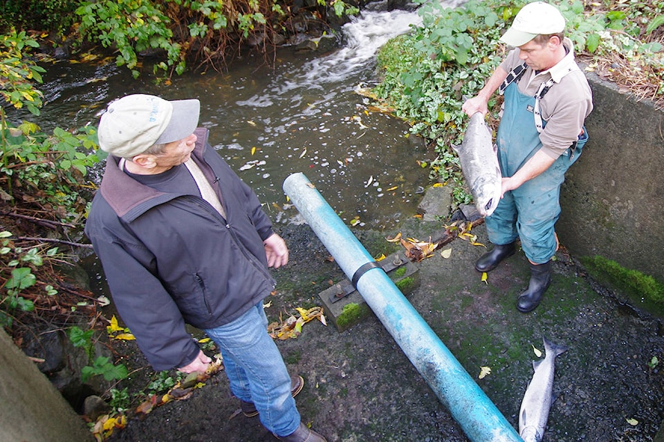 11162778_web1_180327-PNR-dam-fish-die-file