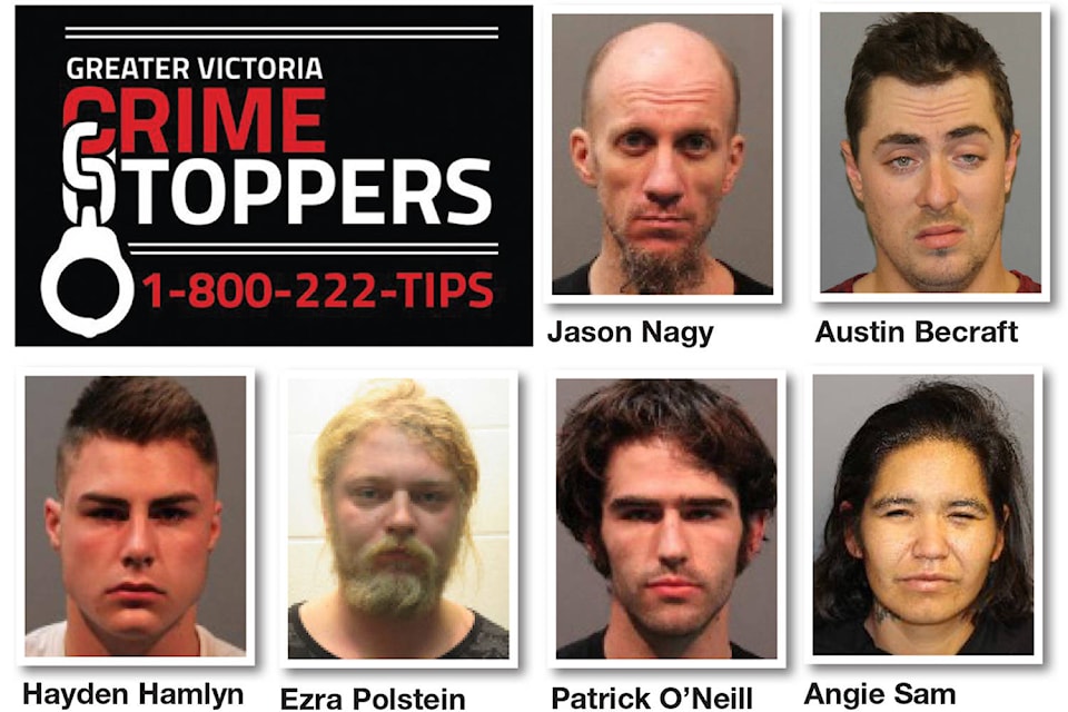 11189397_web1_180330-sne-crimestoppers_2