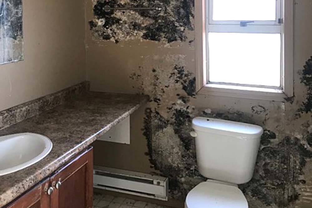 Rental home features mould and ‘rat poo’ Greater Victoria News