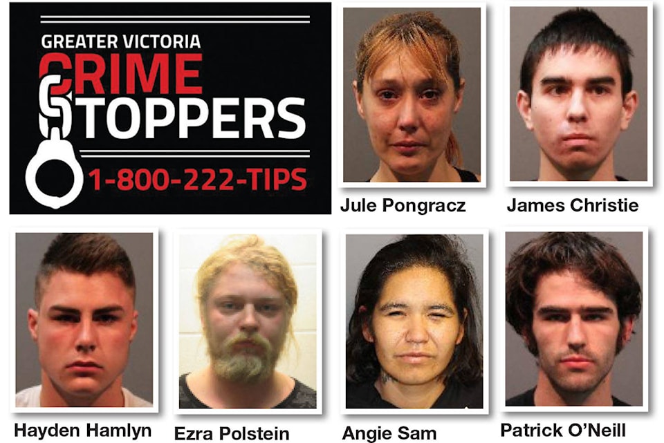 11485184_web1_180420-sne-crimestoppers_1