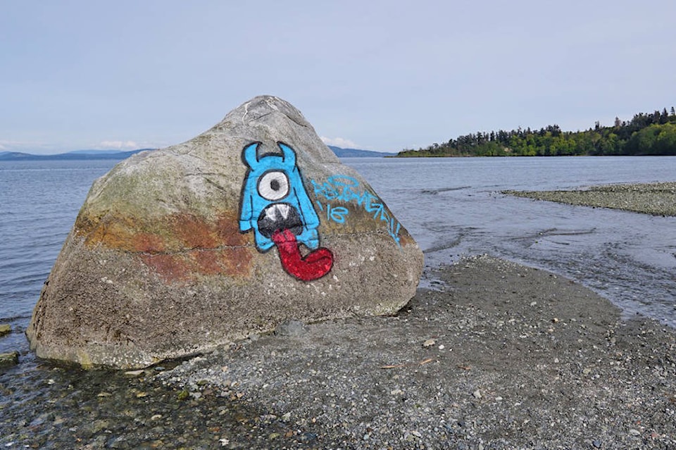 11541522_web1_MountDougGraffiti