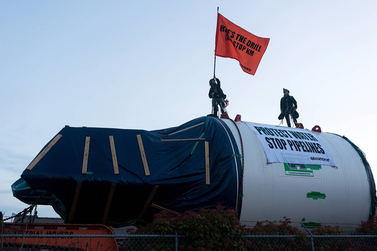 11729249_web1_180510-NDR-GreenpeaceProtest_2