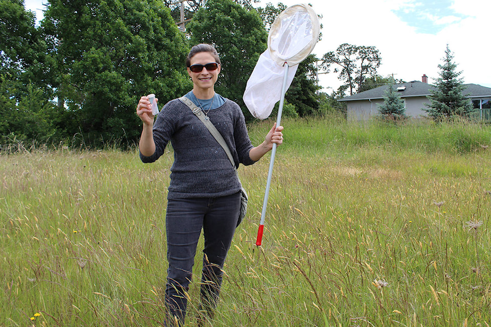 12315161_web1_pollination_restoration