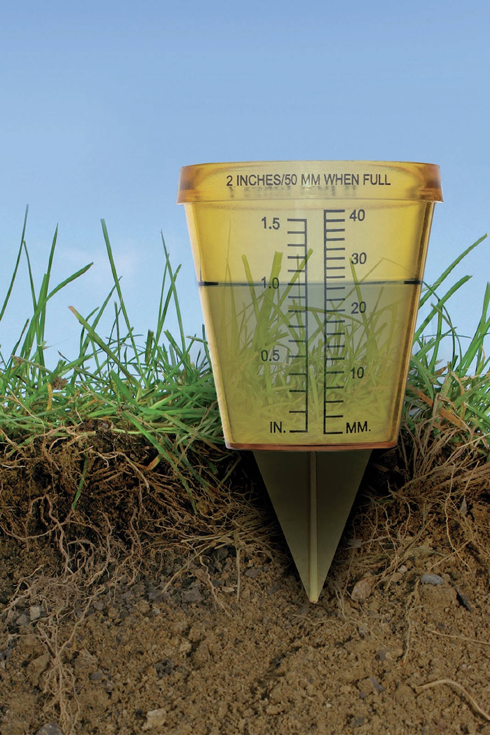 12672217_web1_CRD_WATERgaugeongrass-copy