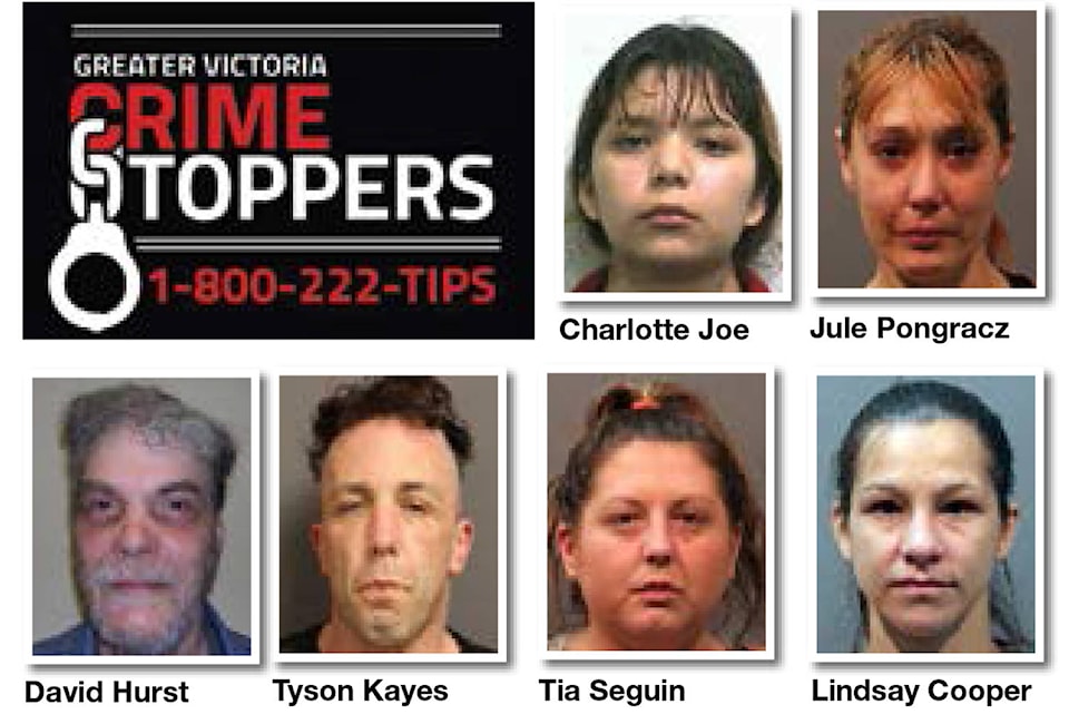 13036046_web1_180810-sne-crimestoppers_1