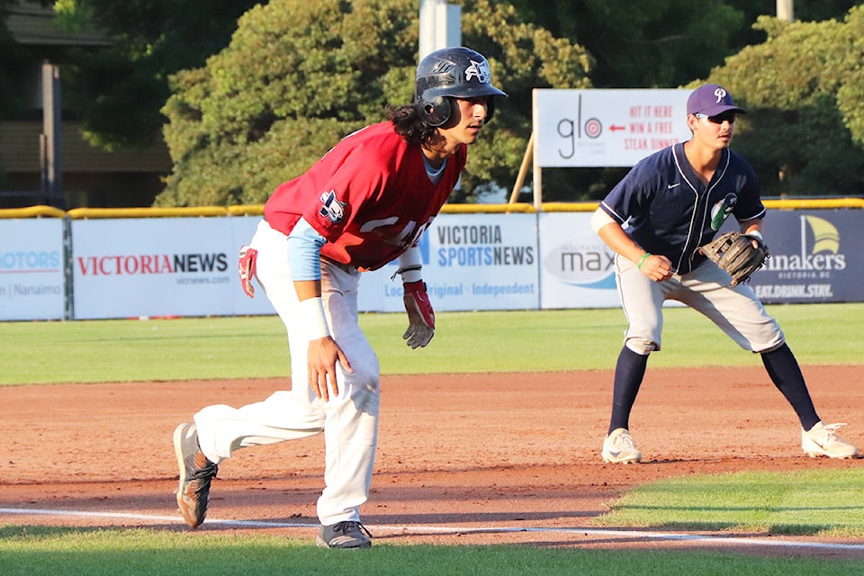 13074720_web1_VNE-HarbourCats5Plaia