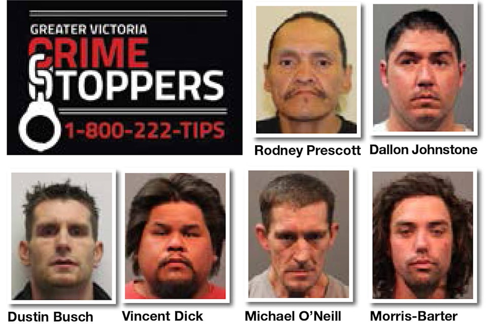 13129609_web1_180817-sne-crimestoppers_1