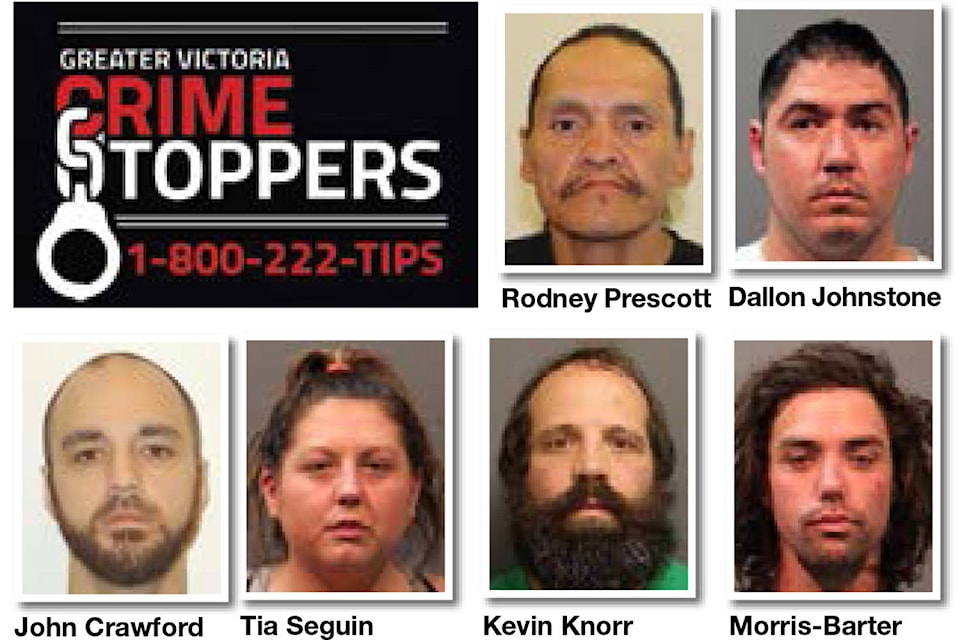 13225558_web1_180824-sne-crimestoppers_1