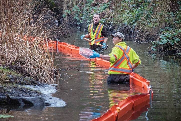 13904636_web1_39017saanichSN-ColquitzoilspillDec131PDec1813