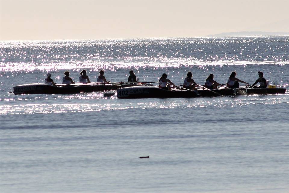 14003473_web1_image004