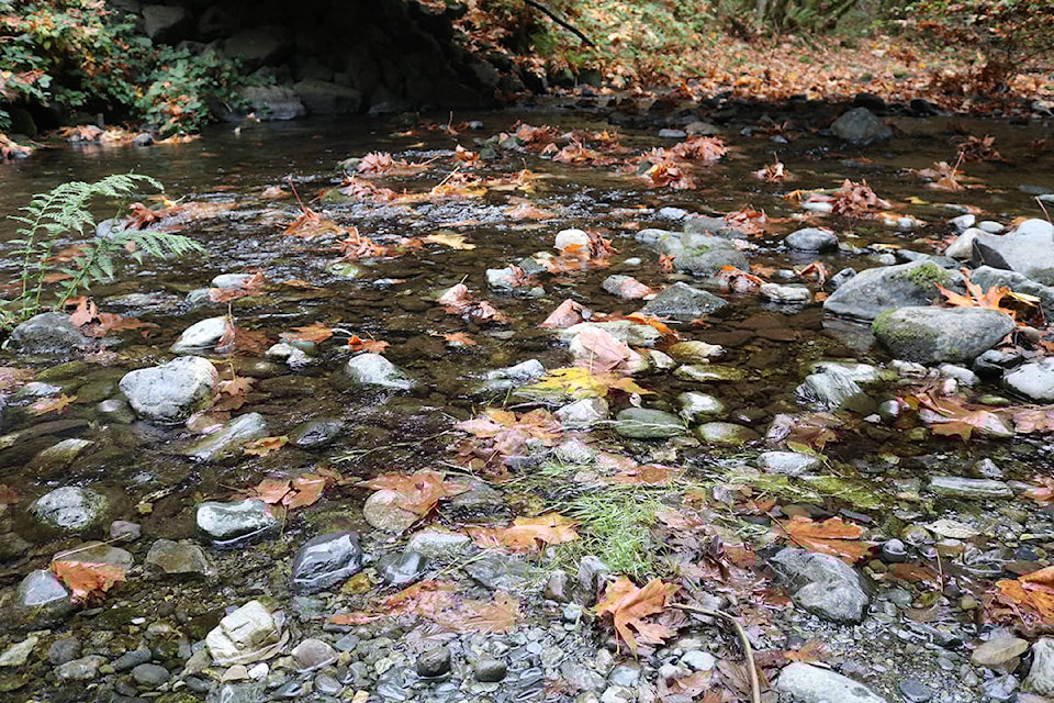 14099980_web1_181023-GNG-SalmonNeedHigherWater