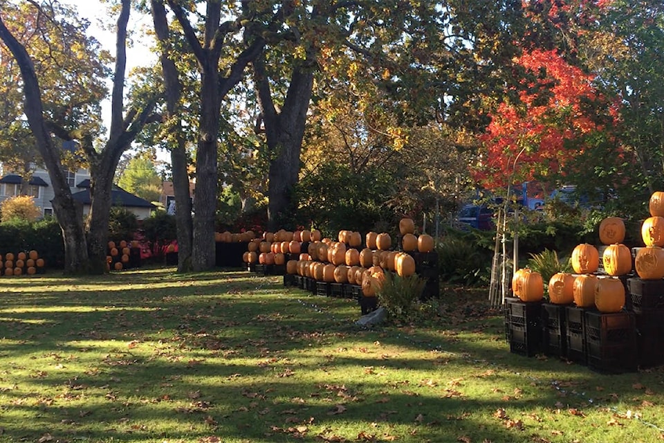 14101589_web1_101823-OBN-pumpkins-Halloween