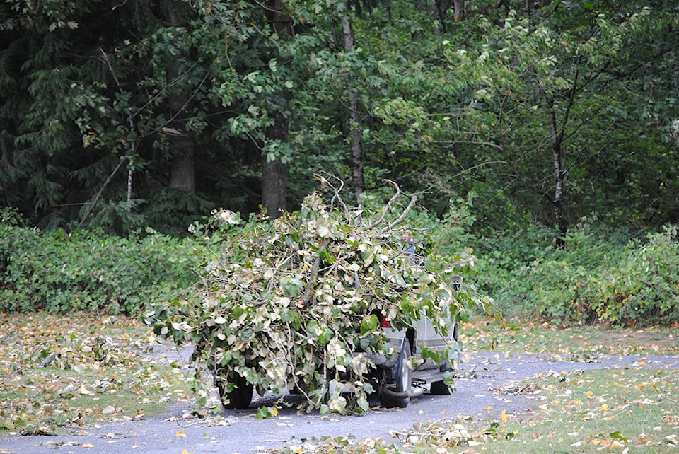 14713485_web1_windstorm-truckload-of-fallen-branches