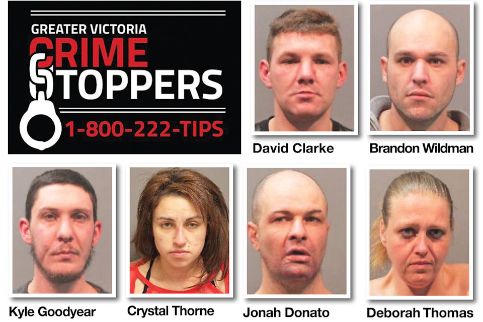 15328230_web1_190129-VNE-Crimestoppers_1