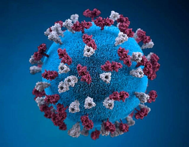 15343342_web1_Measles-CDC-S