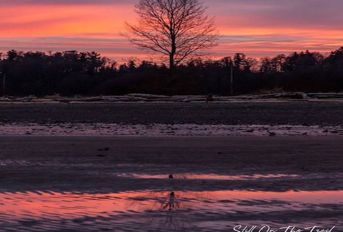 15361491_web1_Still-on-the-trail-island-view-beach-copy