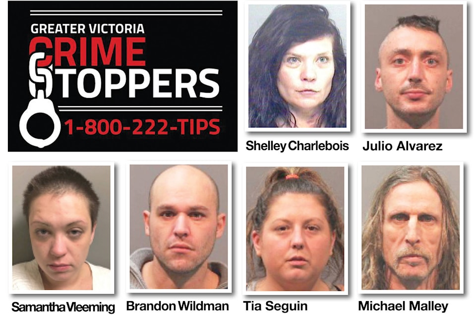15614530_web1_190219-VNE-CrimeStoppers2_1
