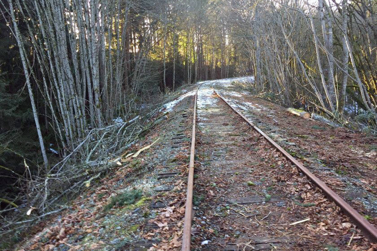 15788442_web1_190303-GNG-Langford-Trees-ENRail2