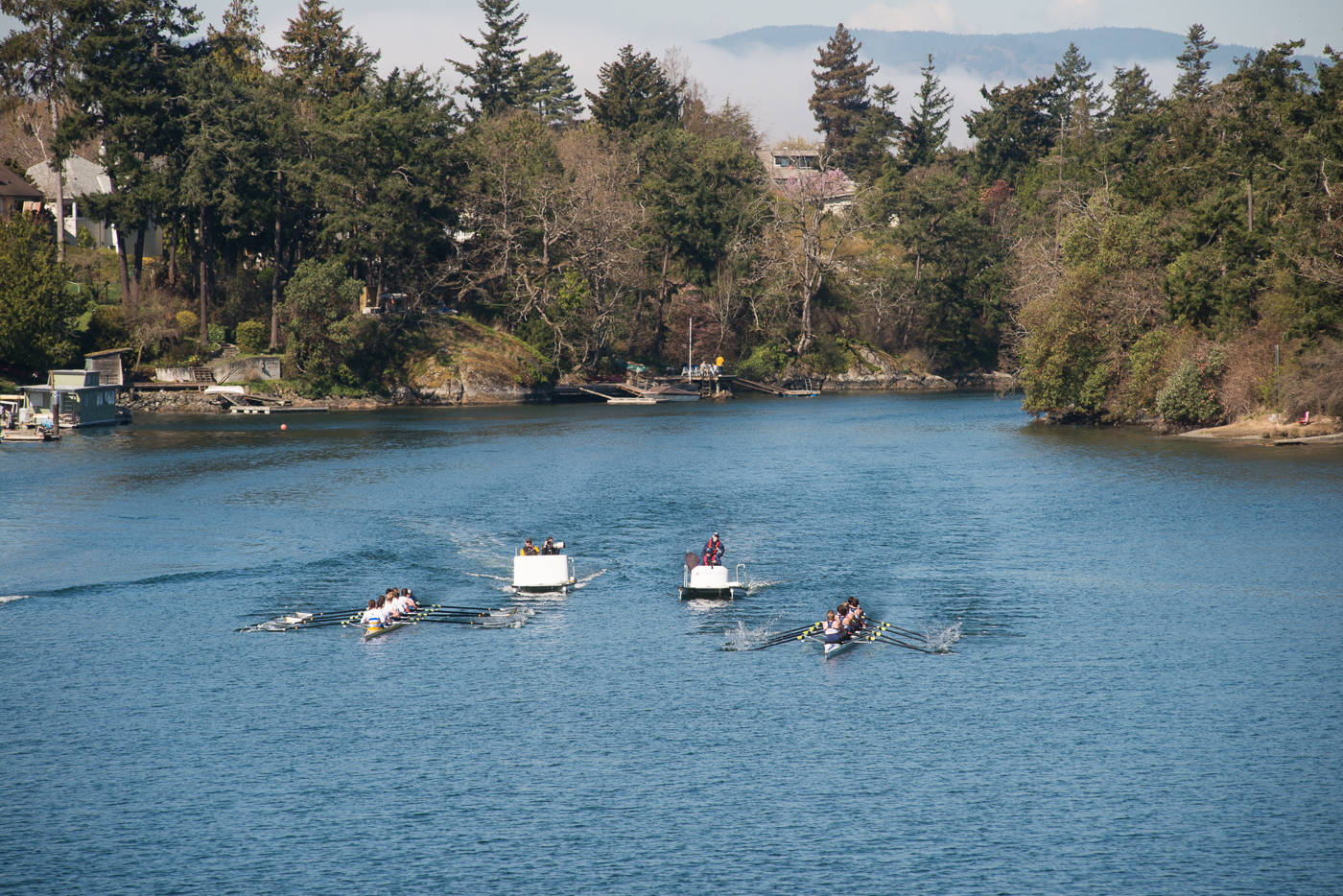 16195367_web1_copy_Keri_Coles_VictoriaNews_rowing-2