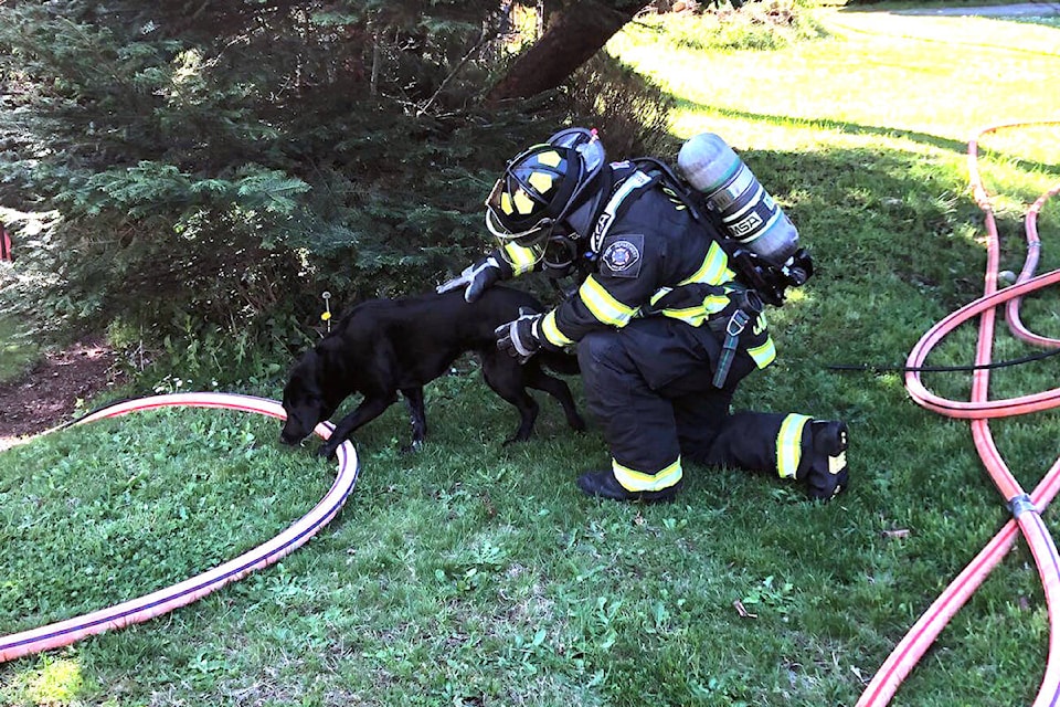 16536141_web1_190423-GNG-black-lab-rescue
