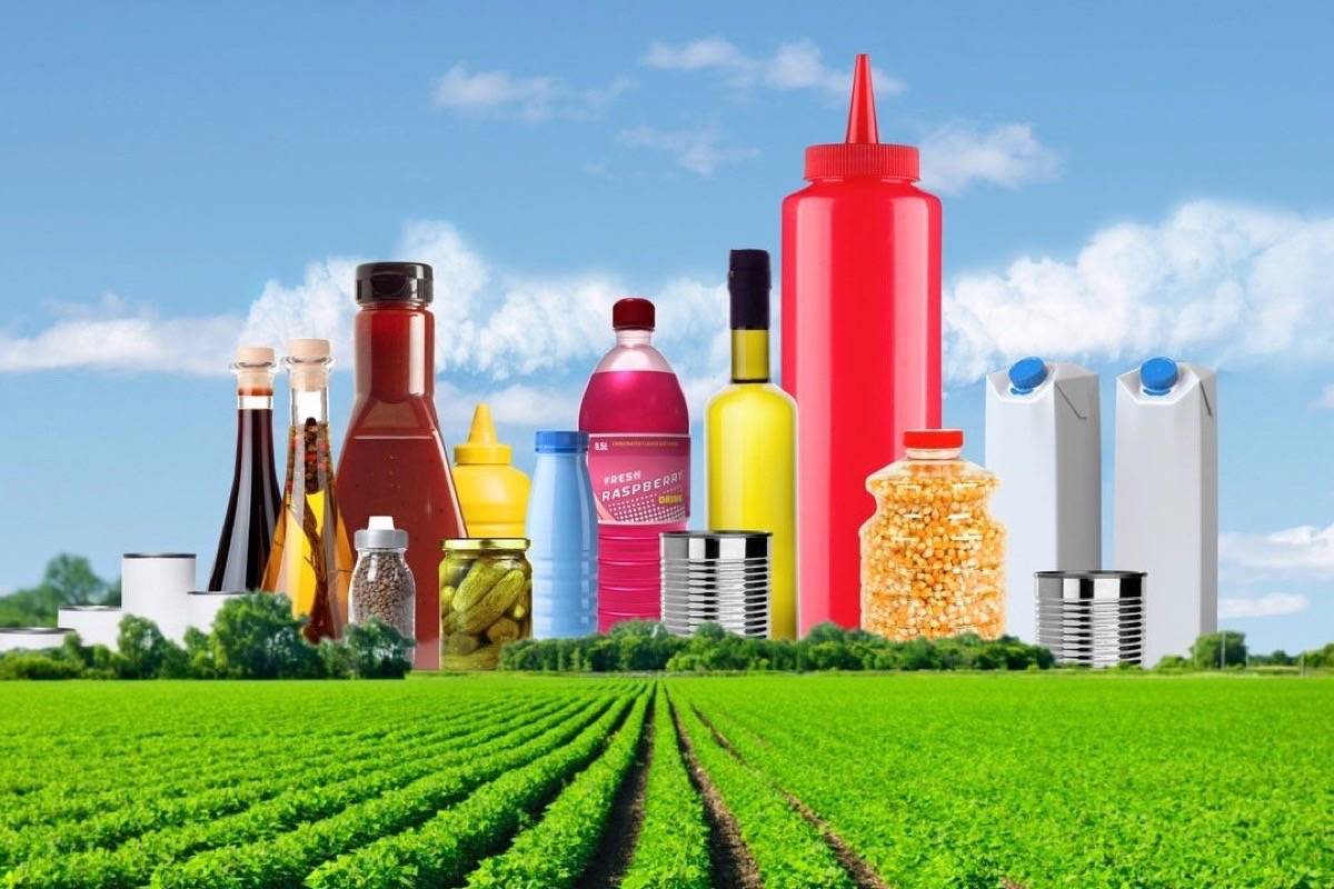 Import cheap food network
