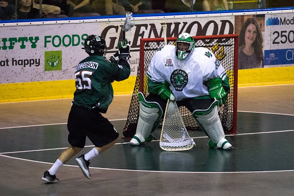 17038548_web1_190528-GNG-Shamrocks_1