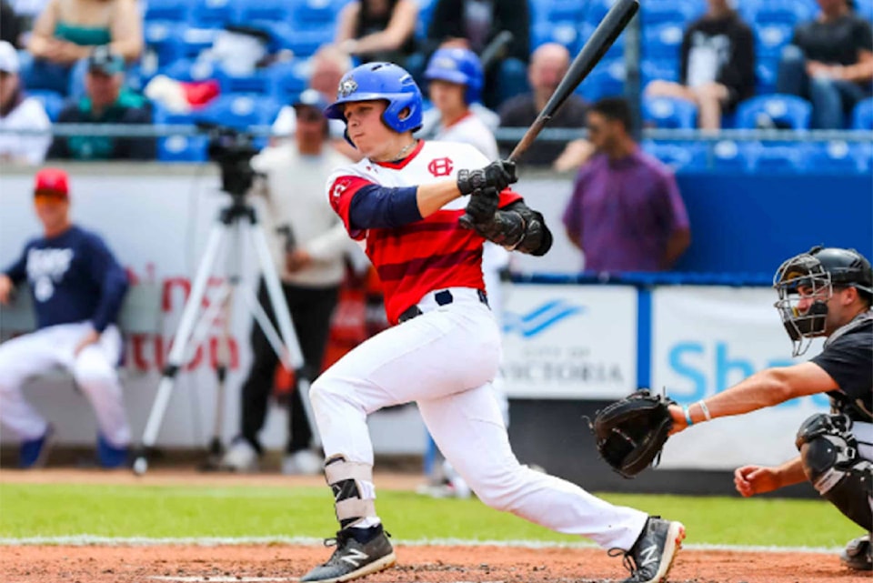 17209669_web1_190610-VNE-HarbourCats