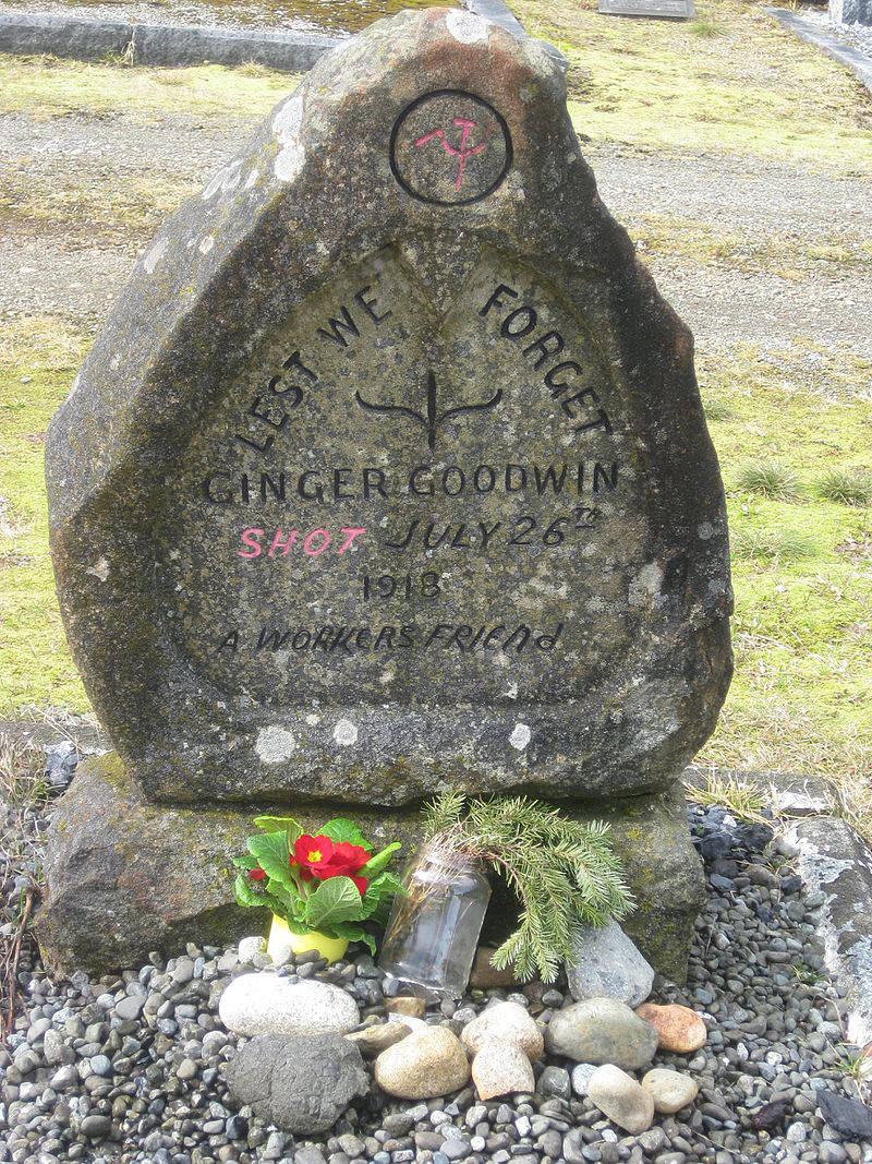 17348111_web1_190620-CVR-N-goodwinsgrave