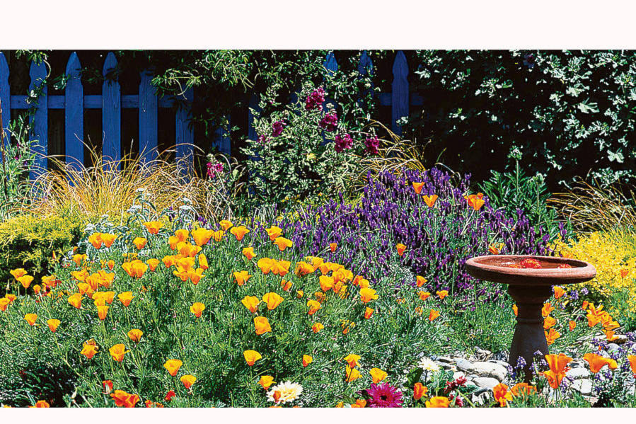 17458325_web1_190606-CVR-F-cottage-garden-sunny-m