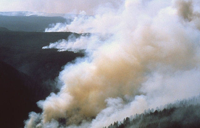 17492099_web1_Wildfire-Smoke-Small