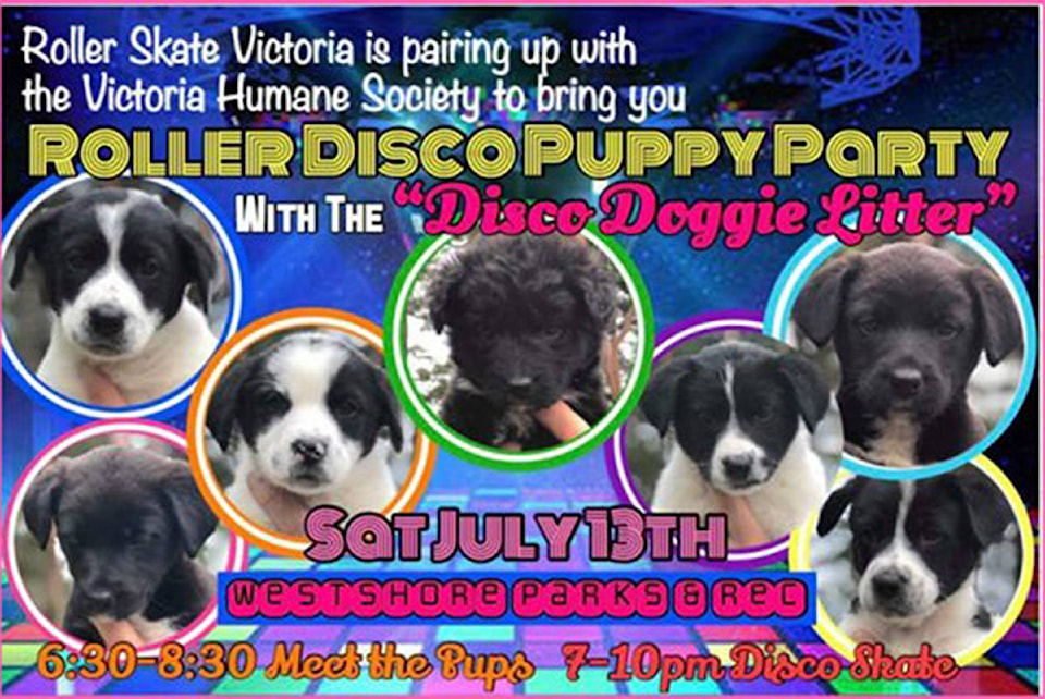 17671278_web1_190711-VNE-Puppy-Party