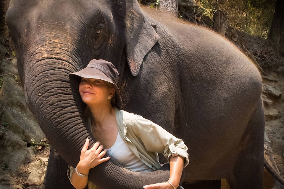 17998991_web1_190807-VNE-Patricia-Simms-Elephant