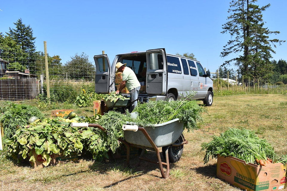 18017456_web1_190807-PNR-NewmanFarm