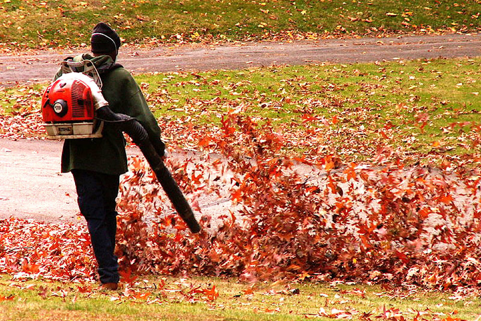 18185992_web1_190814-SNE-LeafBlowerBan