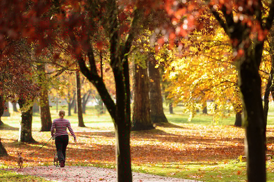 18633928_web1_autumnGarrisonFILE