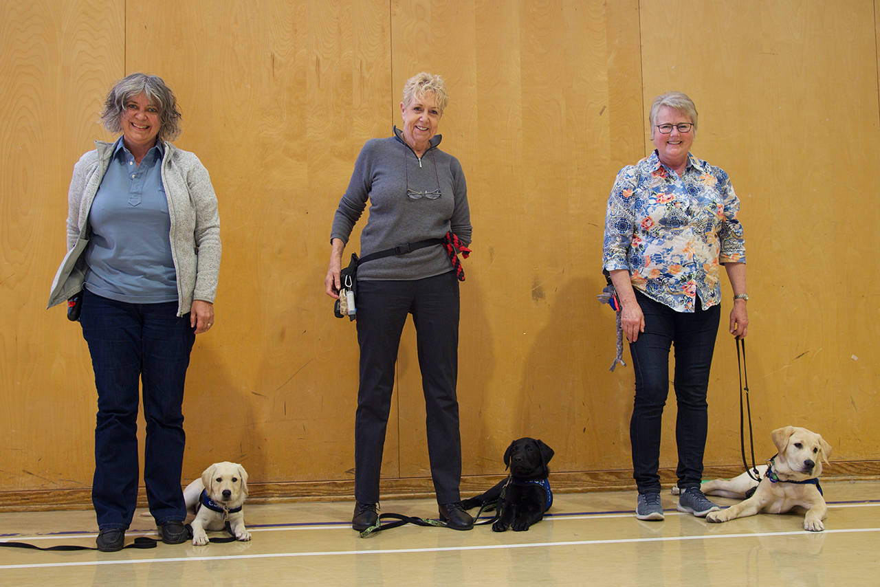 18898935_web1_191010-VNE-DogTraining