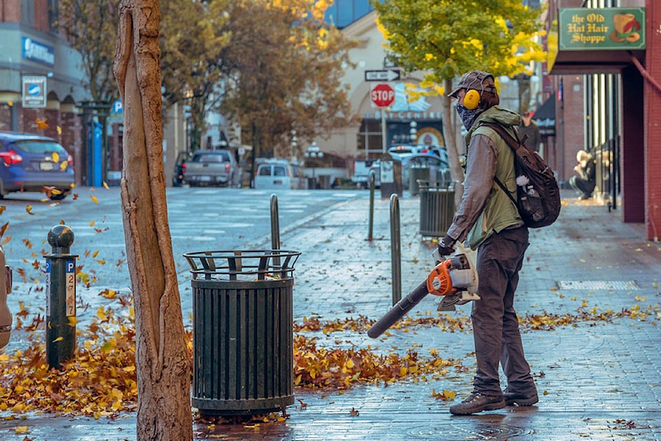 19488071_web1_191121-SNE-DistrictLeafBlowers_1